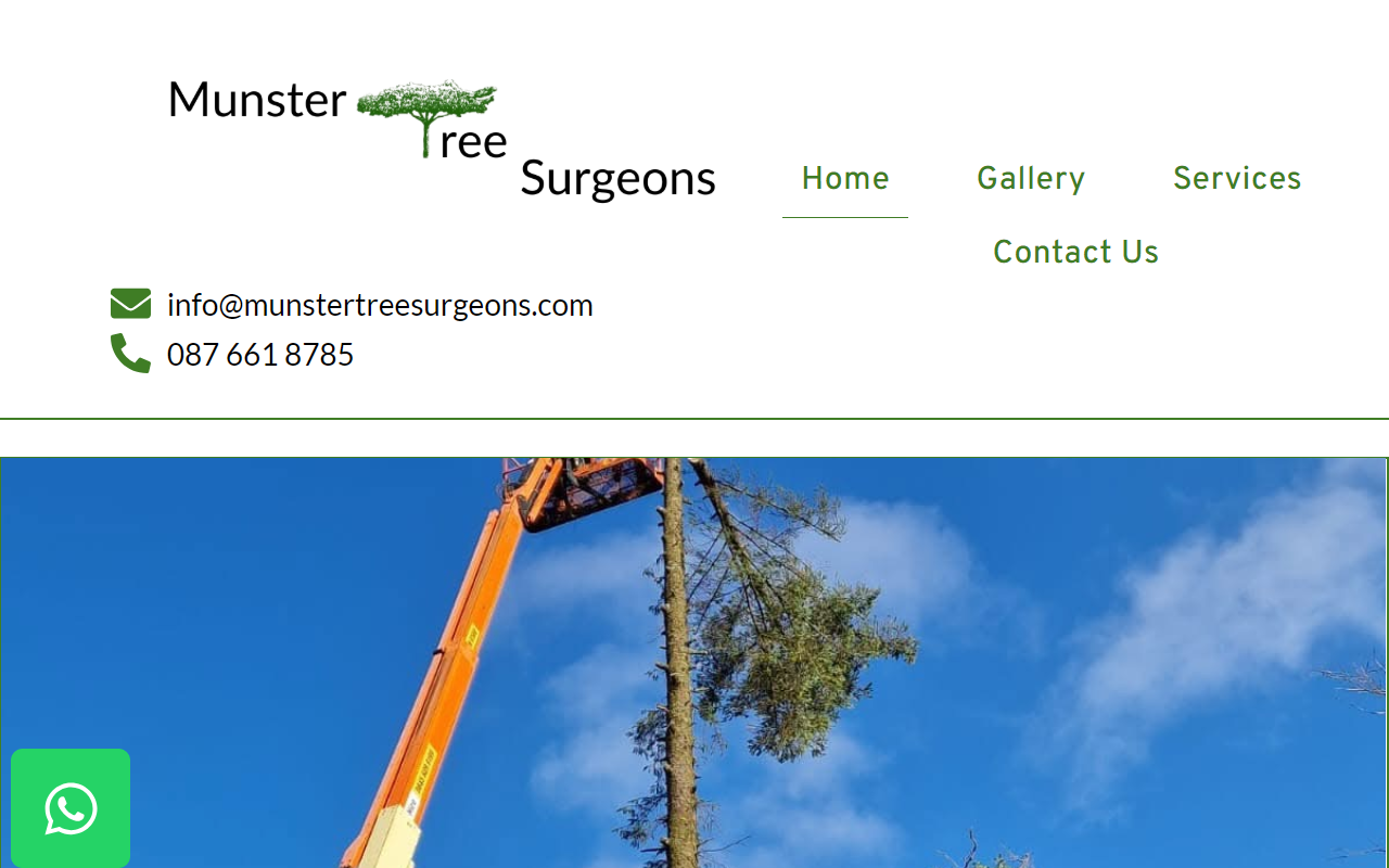 Munster Tree Surgeons website